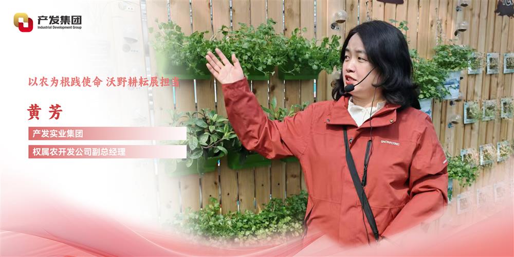 巾幗綻芳華 | 產(chǎn)發(fā)實(shí)業(yè)集團(tuán)權(quán)屬農(nóng)開(kāi)發(fā)公司 黃芳：以農(nóng)為根踐使命，沃野耕耘展擔(dān)當(dāng)